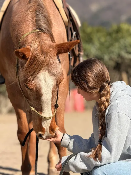 Una ragazza accarezza il muso del cavallo