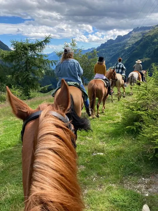 Il gruppo in fila indiana sul sentiero