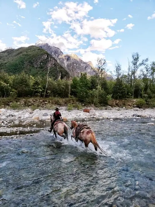 Due cavalli attraversano il fiume sollevando spruzzi