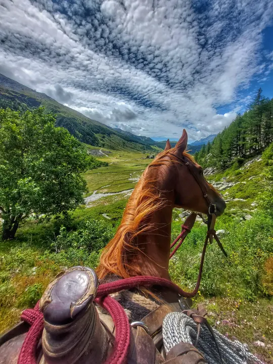 La valle vista dalla sella, tra le orecchie del cavallo