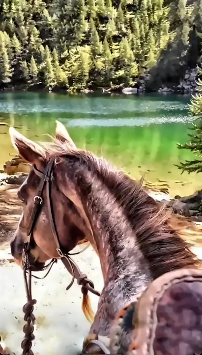 In sella sulla riva del lago verde