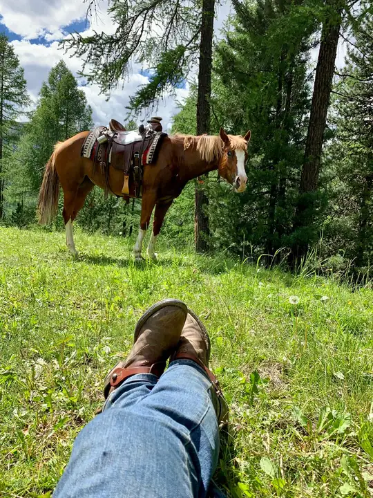Pausa sul prato accanto al cavallo