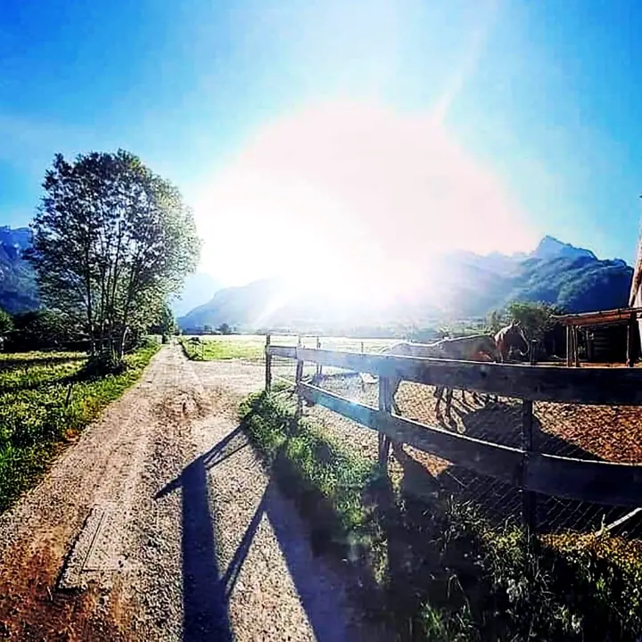 Il sole del mattino sul recinto